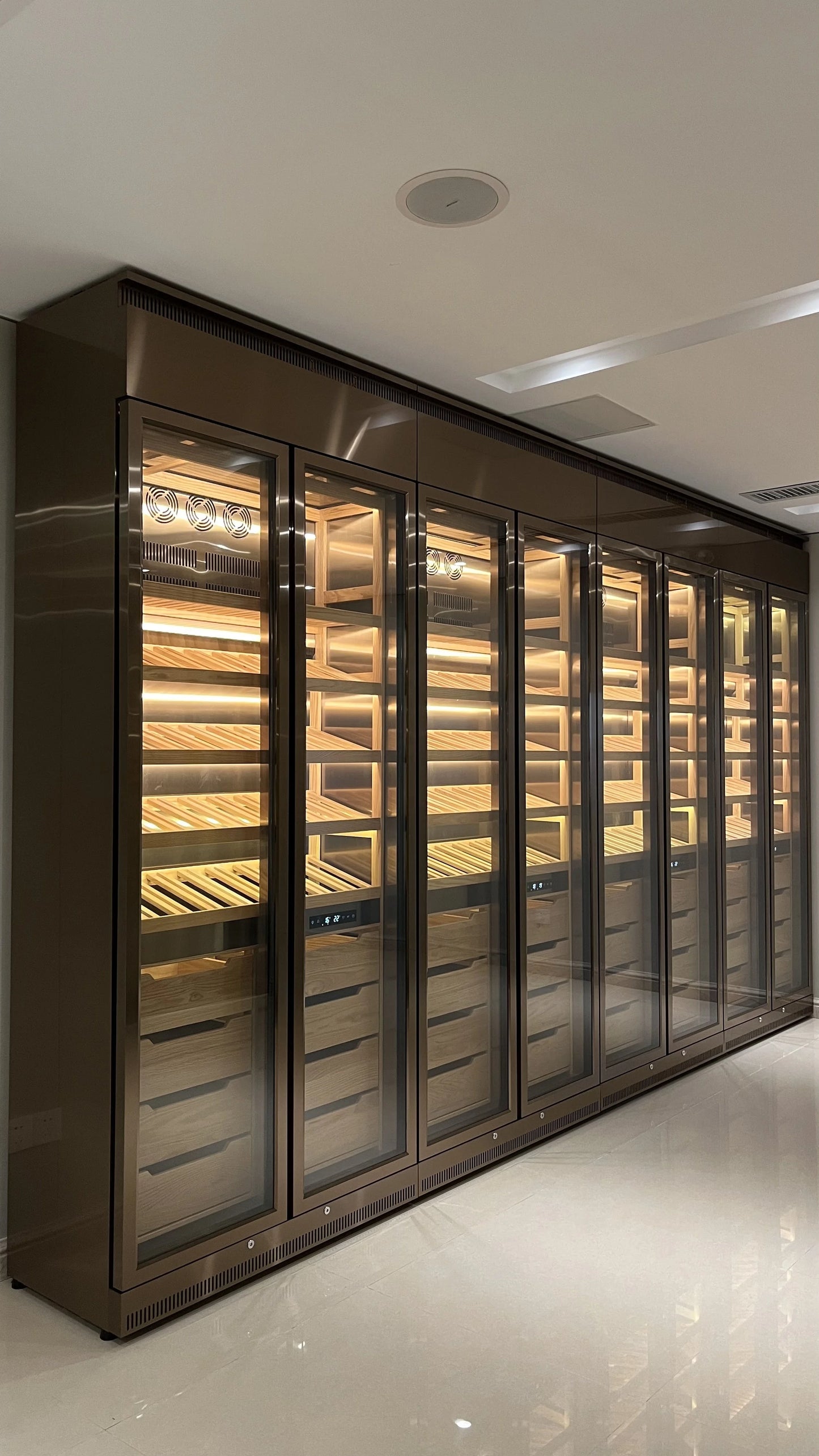 Elegant Constant Temperature Wine Cabinet Cooler Fine Wine Storage Preservation with Water Bubble Feature Wine Beverage Storage