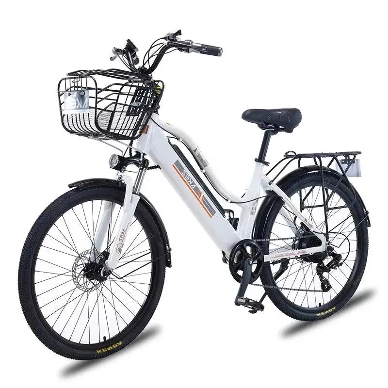 Adult Electric Bicycle 2 Seats 26 Inch 350W 36V 2 Wheel Electric City Bike With Basket /Shock Absorber 35km/h Removable Battery