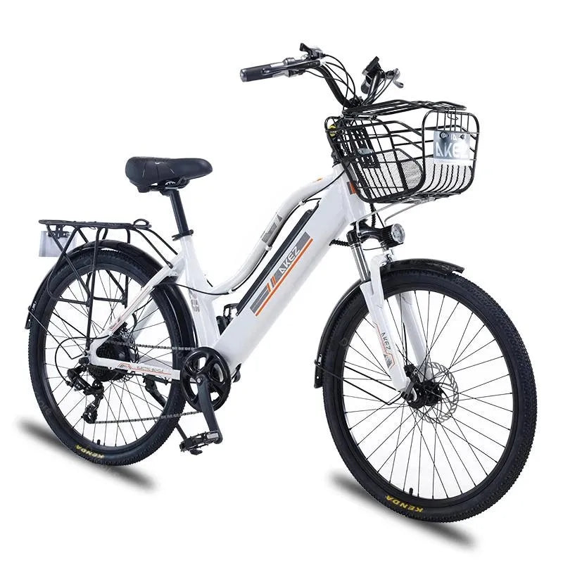 Adult Electric Bicycle 2 Seats 26 Inch 350W 36V 2 Wheel Electric City Bike With Basket /Shock Absorber 35km/h Removable Battery